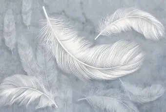 Vimala Белые перья 270x400