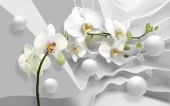 Vimala 3D Орхидея и шары 270x400
