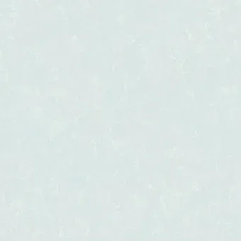 Erismann Seasons 60597-06