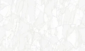 Erismann Lava 60631-01