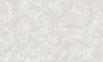 Erismann Andrea 60637-05
