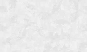 Erismann Andrea 60637-03