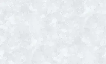 Erismann 60765-06