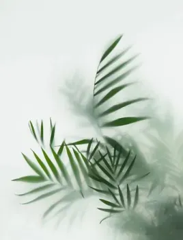 Citydecor Цветы и Растения 155 200x260