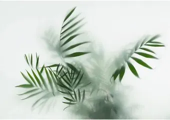 Citydecor Цветы и Растения 155 200x140
