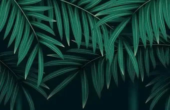 Citydecor Цветы и растения 137 400x260