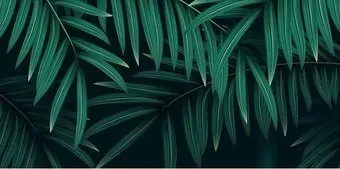 Citydecor Цветы и Растения 137 300x150