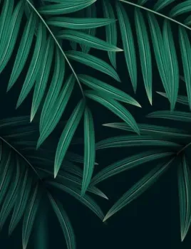 Citydecor Цветы и Растения 137 200x260