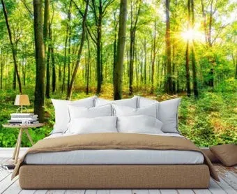 Citydecor Солнечный лес 546x265