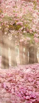 Citydecor Сказочная природа 5 100x260