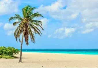 Citydecor Море и водопады 46 200x140