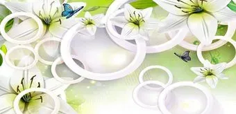 Citydecor Круги 3D 546x265