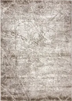 Safyun Diana NP401-BEIGE (1.2x1.7)
