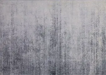 AksHome Cashmere C-29 (160x230)