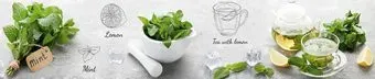 Albico R 55