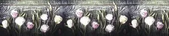 Акватон Скинали ХДФ VIP 64 (2440мм)