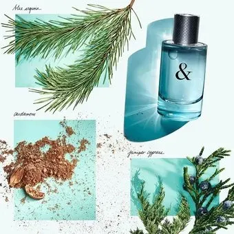 Tiffany & Co Tiffany & Love For Him EdT (тестер, 90 мл)