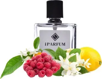 iParfum аналоговый парфюм W48 PACO RABANNE LADY MILLION 100 мл