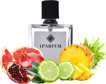 iParfum аналоговый парфюм W19 Dior Addict 2 Dior 100 мл