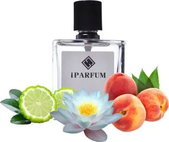 iParfum аналоговый парфюм U21 Andromeda TizianaTerenzi 100 мл