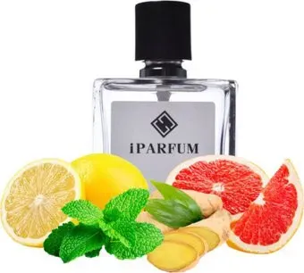 iParfum аналоговый парфюм M9 Chanel Bleu De Chanel 100 мл