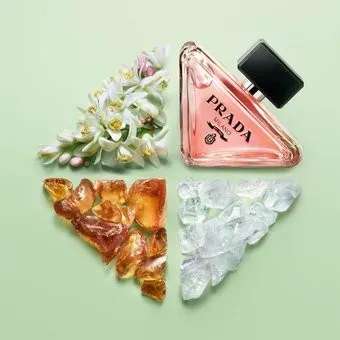 Prada Prada Paradoxe EdP (50 мл)