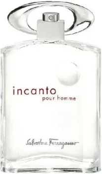 Salvatore Ferragamo Incanto Pour Homme EdT (100 мл)