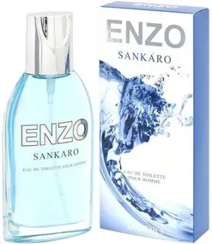 Positive Enzo Sankaro EdT (95 мл)