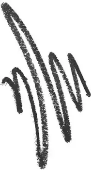 Shik Kajal Liner 01 (Passion) 1.2 г