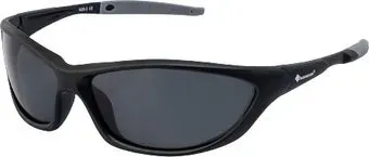 Tagrider N28-2 Gray