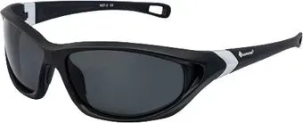 Tagrider N27-2 Gray