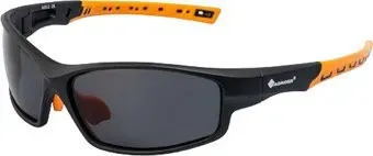 Tagrider N25-2 Gray