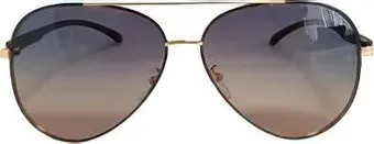 JBL Polarized 913 (золото/градиент)