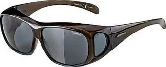 Alpina Overview A83544-31 (черный)