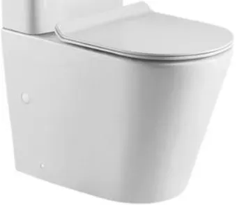 BelBagno BB2149CPR (без бачка, без сиденья)