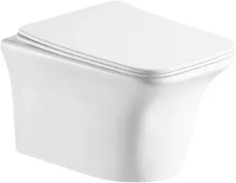 Cerutti Nivolet Aria CT7779