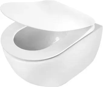 Deante Peonia CDE 6ZPW (без сиденья)