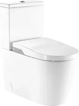 Roca Inspira In-Wash [803061001]