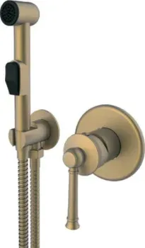 Vieir V273553-D