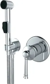 Vieir V273553