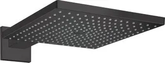 Hansgrohe Raindance E 26238670 (матовый черный)
