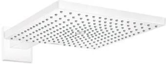 Hansgrohe Raindance E 26238700 (белый)