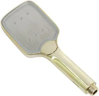 Ledeme LD002G (золото)