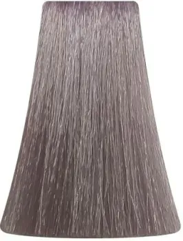 BB One Picasso Colour Range 8.221 интенсивный пепел.-жемчуж. св. блонд