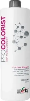 Itely Hairfashion ProColorist After Color Shampoo 1000 мл