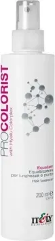 Itely Hairfashion ProColorist Scalp Protector 120 мл