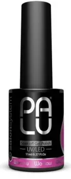 Palu Warsaw P11