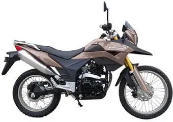 Racer RC300-GY8 Ranger (коричневый)