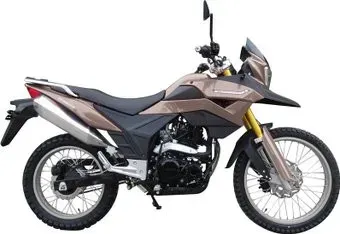 Racer RC300-GY8 (коричневый)