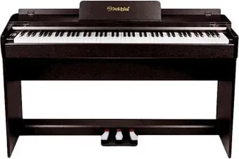 Solista DP600R
